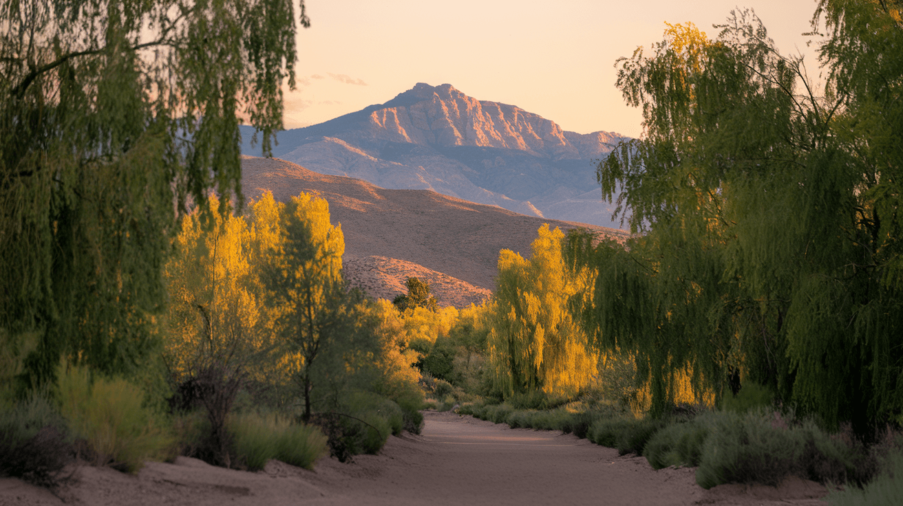 Aerial view of Albuquerque's Rio Grande bosque at golden hour with the Sandia Mountains glowing pink in the background and the city skyline visible to the east