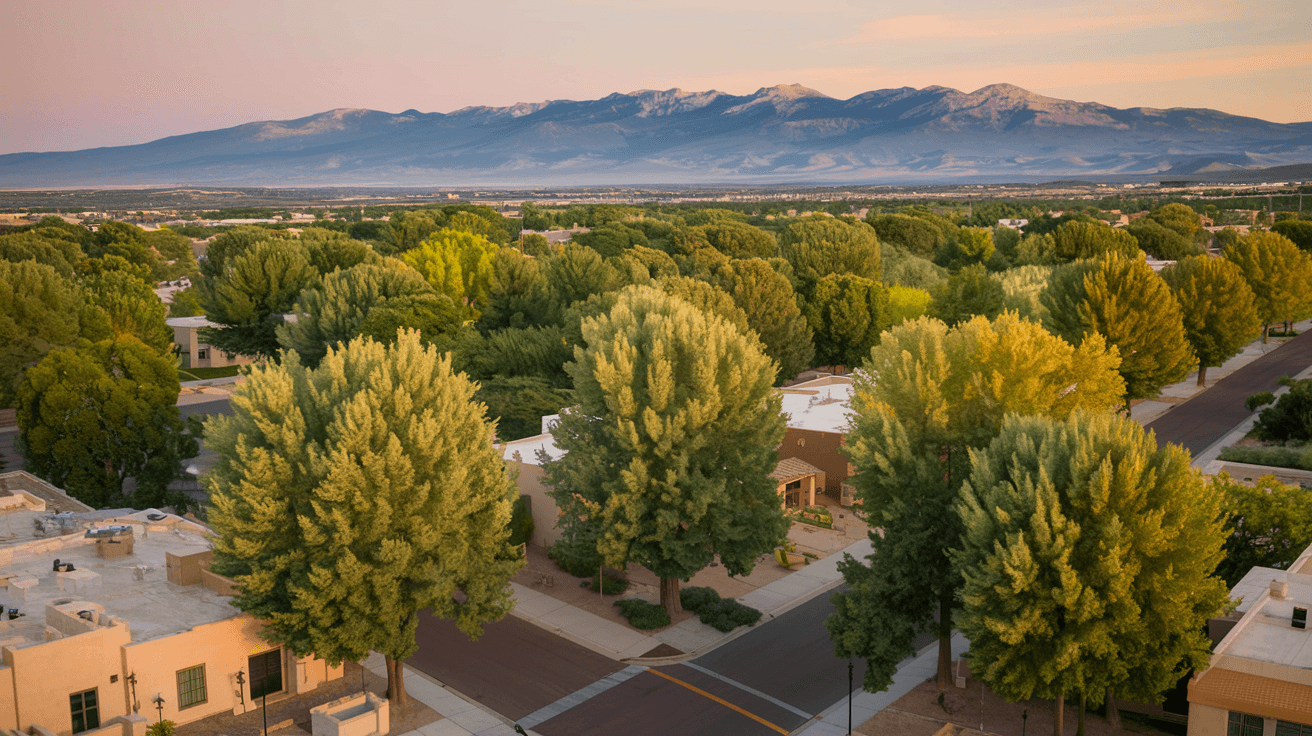 Aerial view of an Albuquerque residential neighborhood in late summer, with the Sandia Mountains glowing pink in the background and mature cottonwood trees lining the streets below