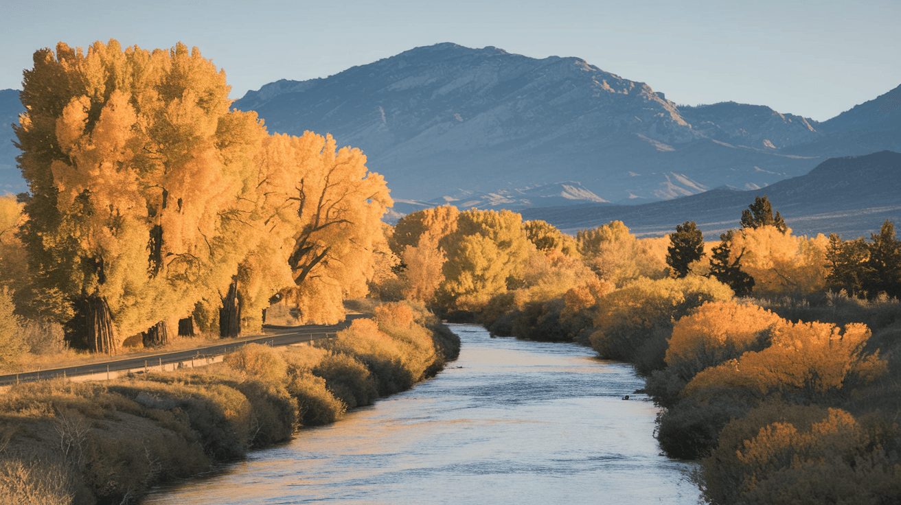 The Paseo del Bosque trail along the Rio Grande in Albuquerque lined with golden cottonwood trees in autumn, the Sandia Mountains visible in the background under a clear sky